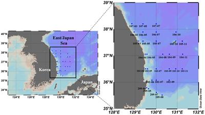 Seasonal variations in biochemical (biomolecular and amino acid) compositions and protein quality of particulate organic matter in the Southwestern East/Japan Sea